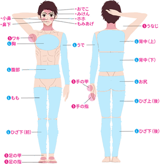 メンズ脱毛・全身脱毛部位