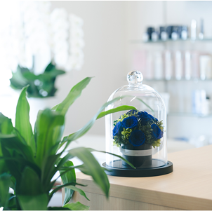 カウンセリングと肌診断