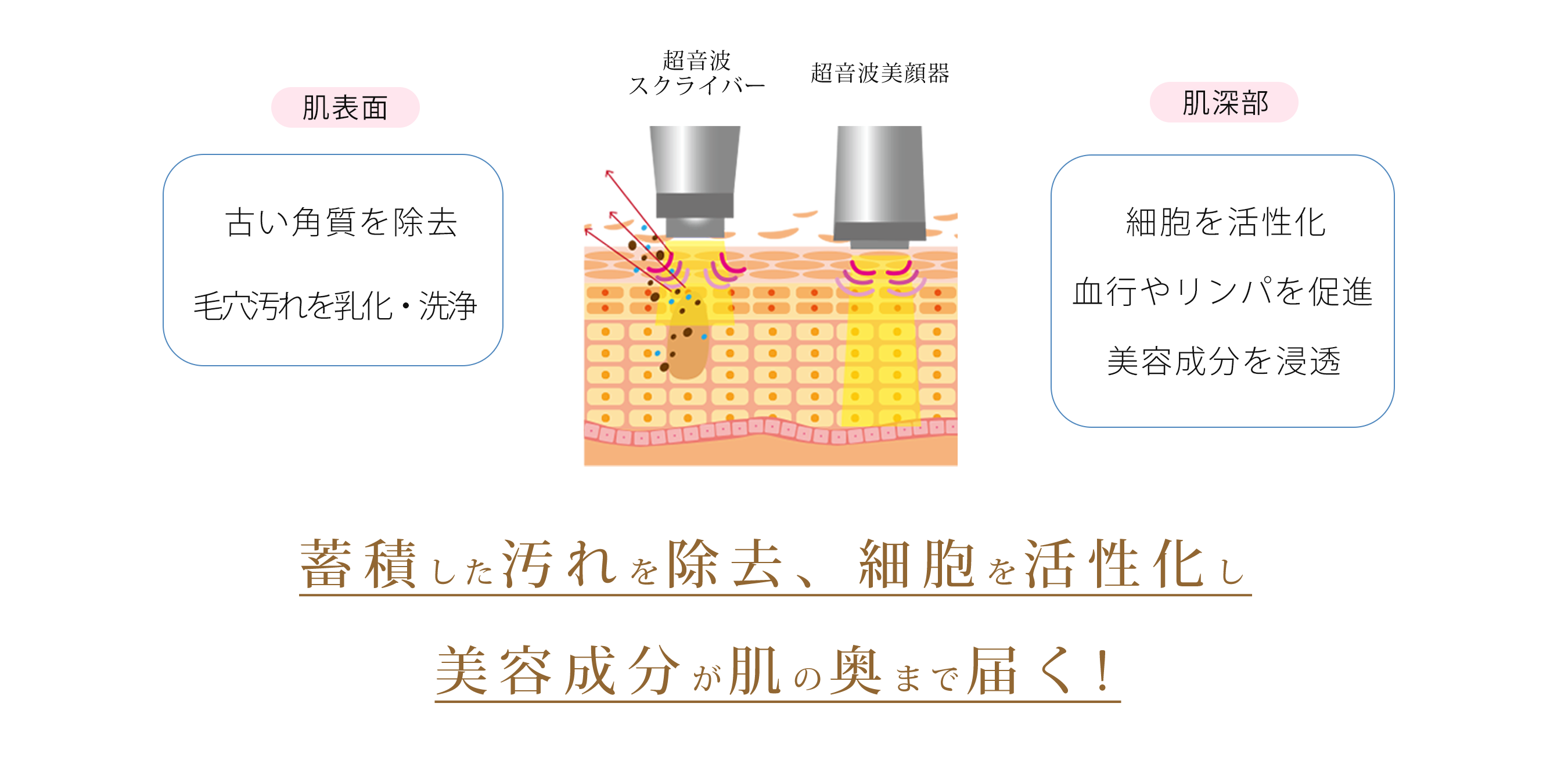 蓄積した汚れを除去、細胞を活性化し、美容成分が肌の奥まで届く